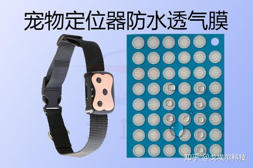 解密寵物定位器IP67防水設(shè)計 透氣膜的科技之道